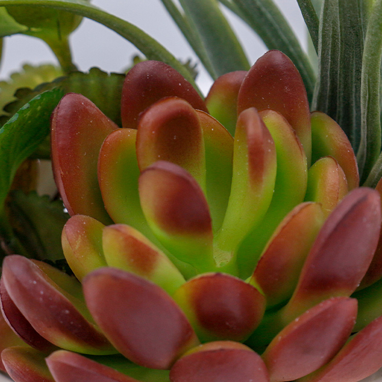 Suculentas Artificiales Miniatura de PVC en Oferta, Plantas Suculentas Artificiales en Maceta, Pequeña Planta Bonsái para Decoración Interior del Hogar (4).jpg 